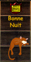 bonne nuit chat